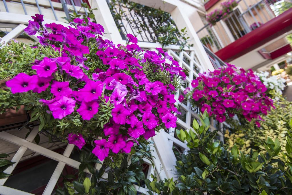 Hotel Sofia Τζεσόλο Λίντο Εξωτερικό φωτογραφία